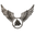 Regiment Valkyrie logo